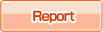 Report